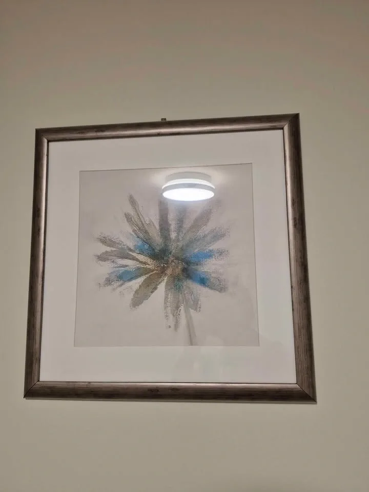 Set of 2 Floral Abstract Framed Wall Art - photo 2