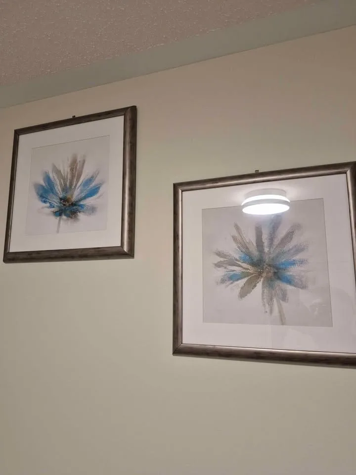 Set of 2 Floral Abstract Framed Wall Art - photo 3