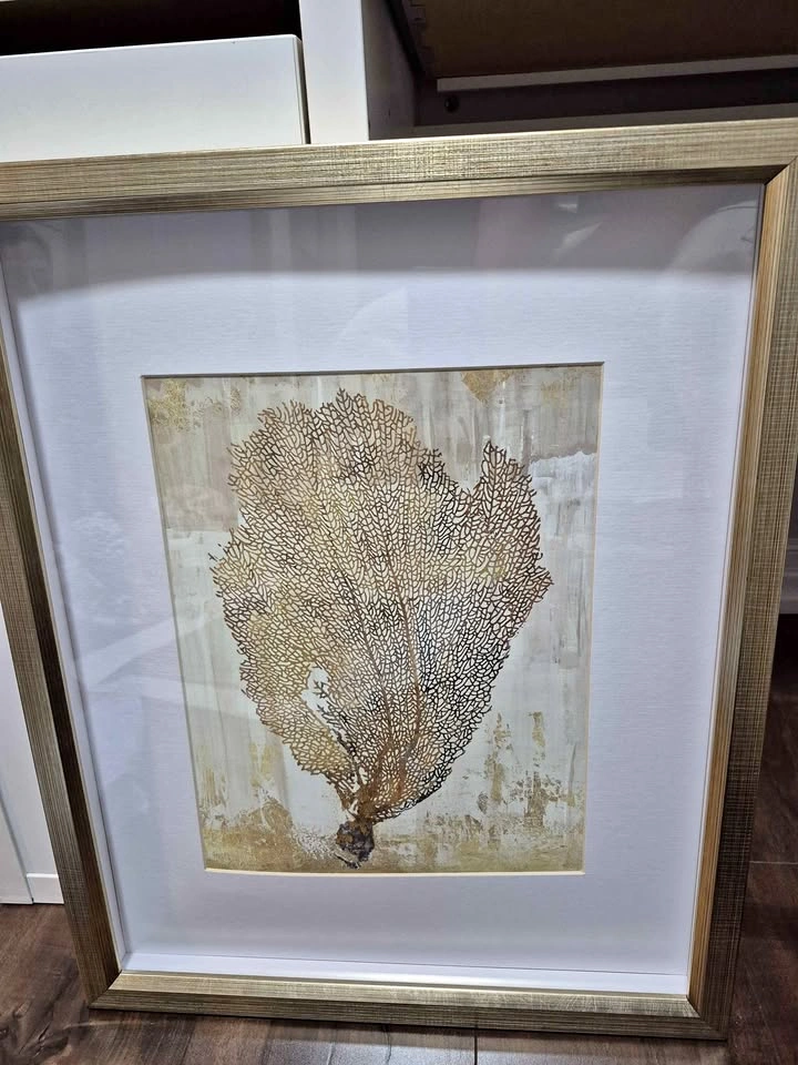 Elegant Sea Fan / Coral Framed Wall Art