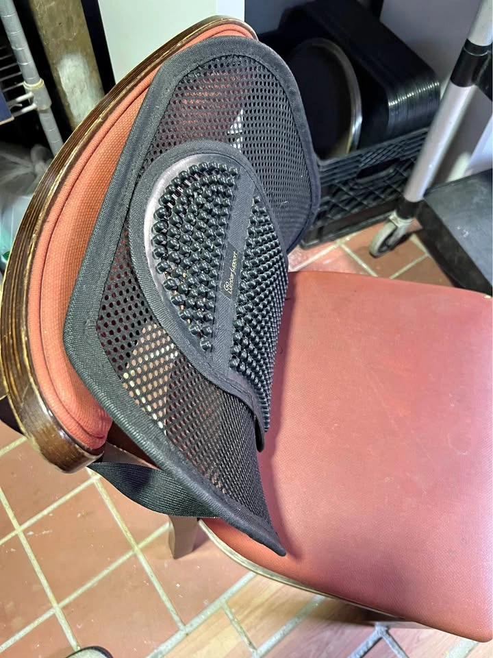 Lumbar Support for Chair (Used)