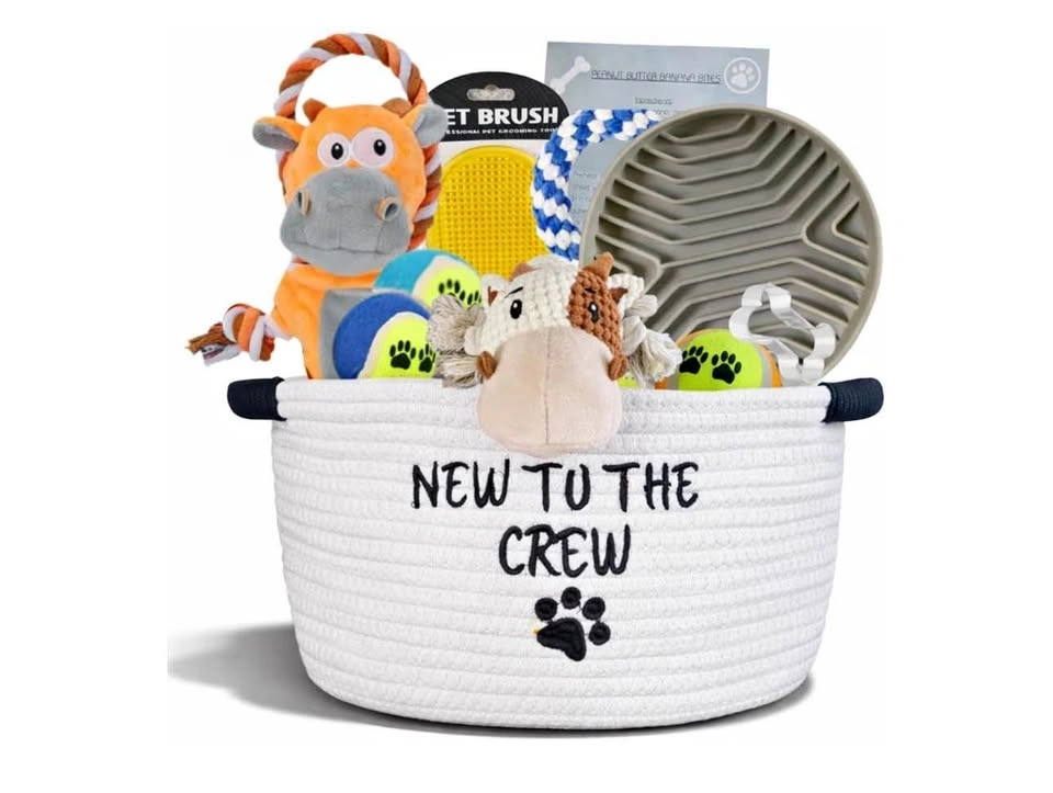 Puppy Gift Basket / Starter Kit (NEW, in box)