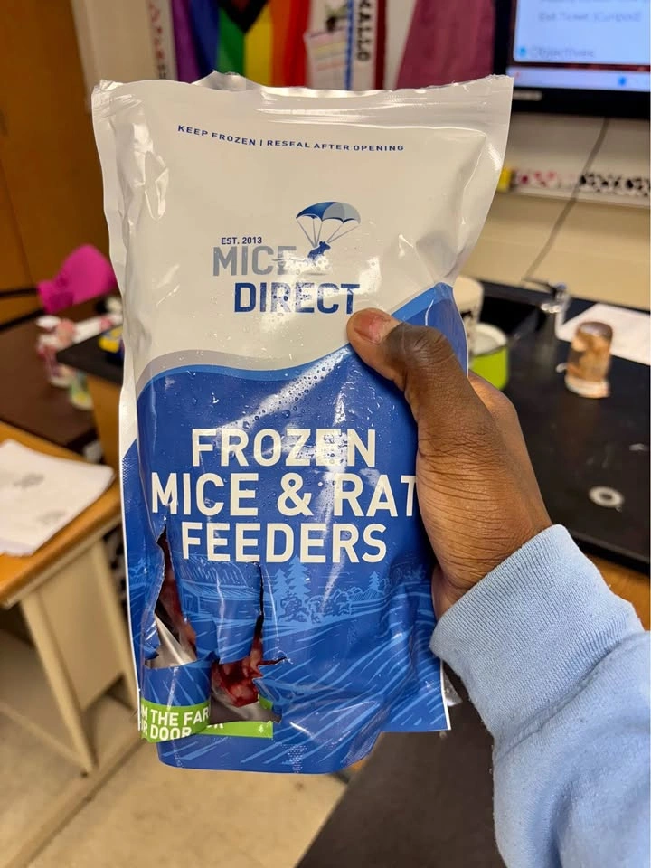Frozen Mice Combo Pack 100 Pinkies & 50 Small