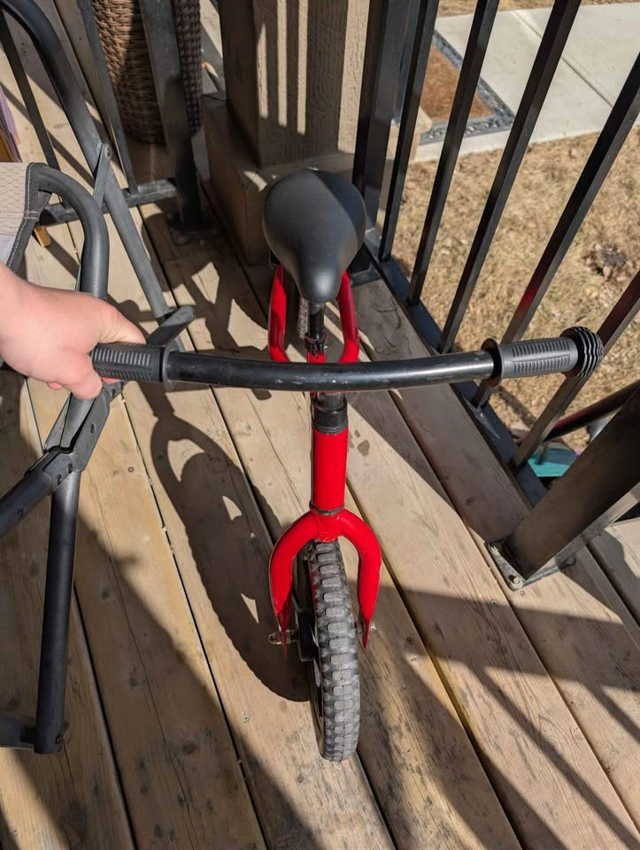 Balance Bike - photo 3