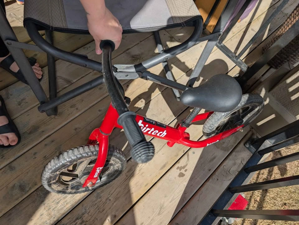 Balance Bike - photo 4