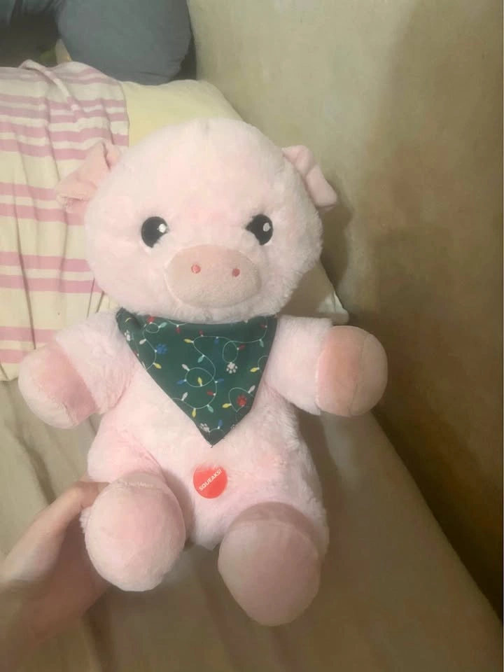 NEW Pig Stuffy with a Squeak Belly
