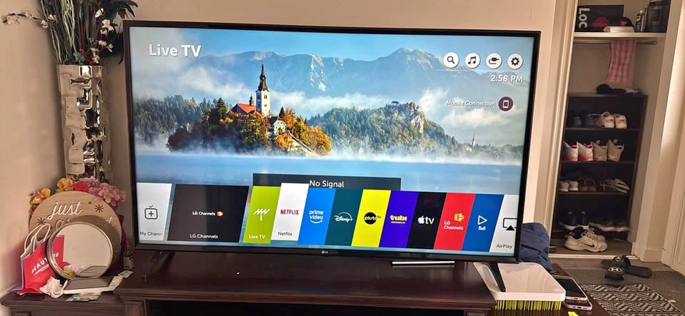 55 Inch LG 4K Smart TV