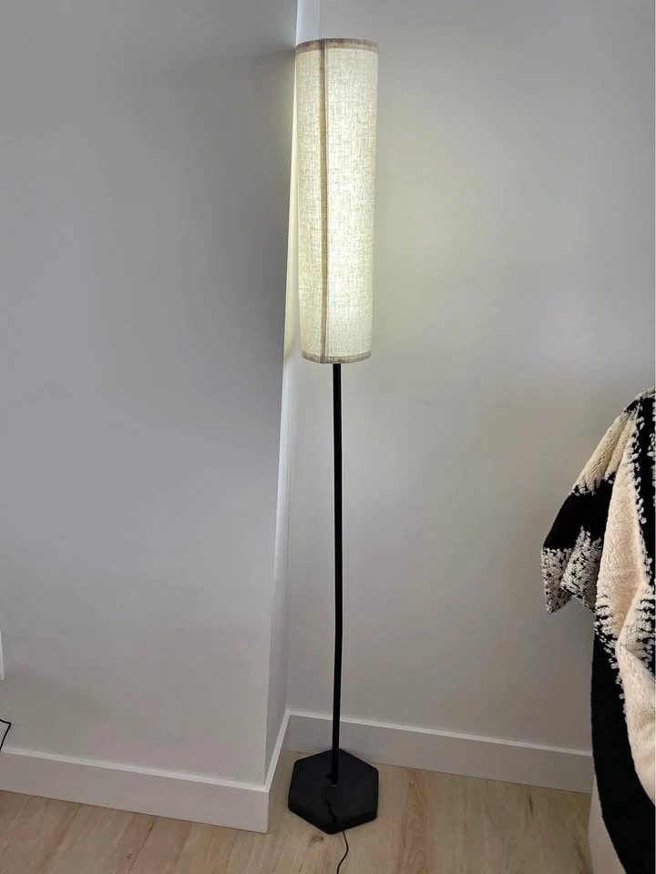 Remote Operated Floor Lamp with Multiple Modes