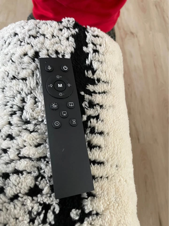 Remote Operated Floor Lamp with Multiple Modes - photo 2