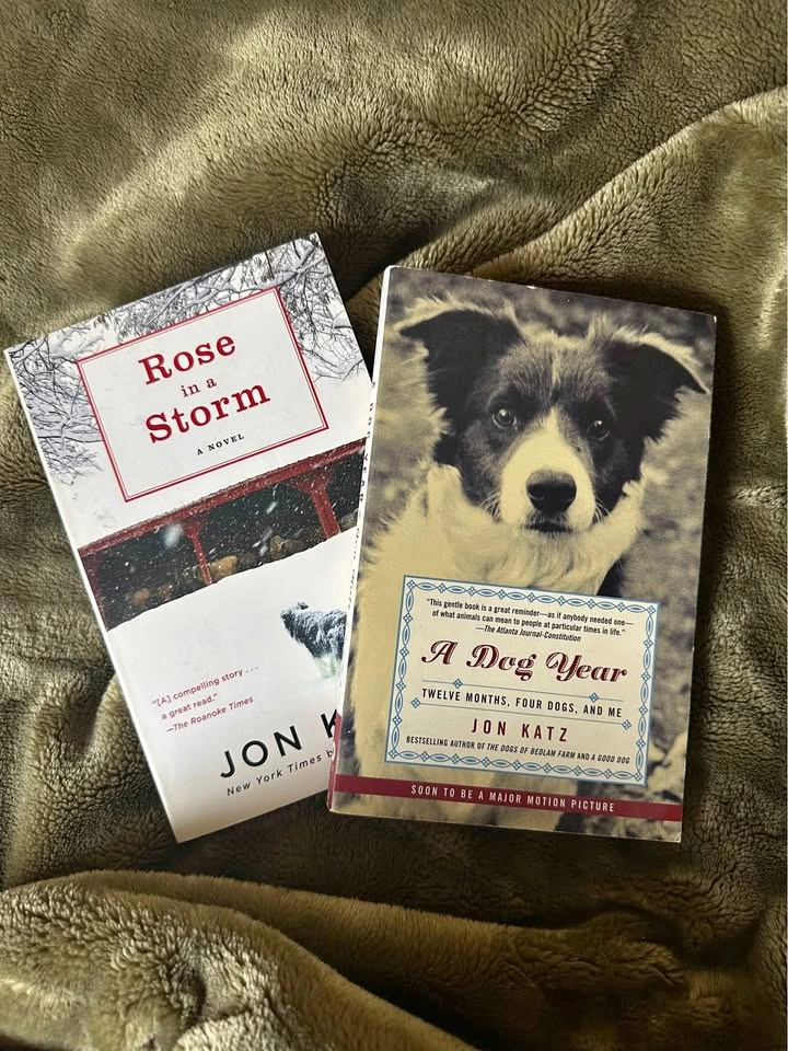 John Katz Books - Rose in a Storm, A Dog Year