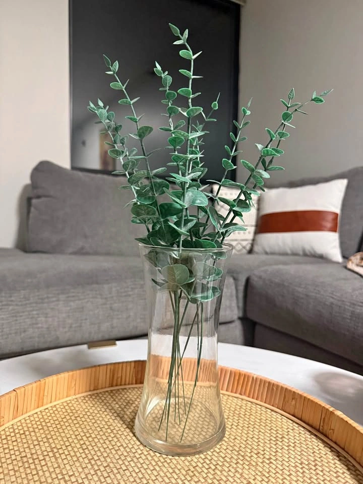 Eucalyptus Plant in Glass Vase