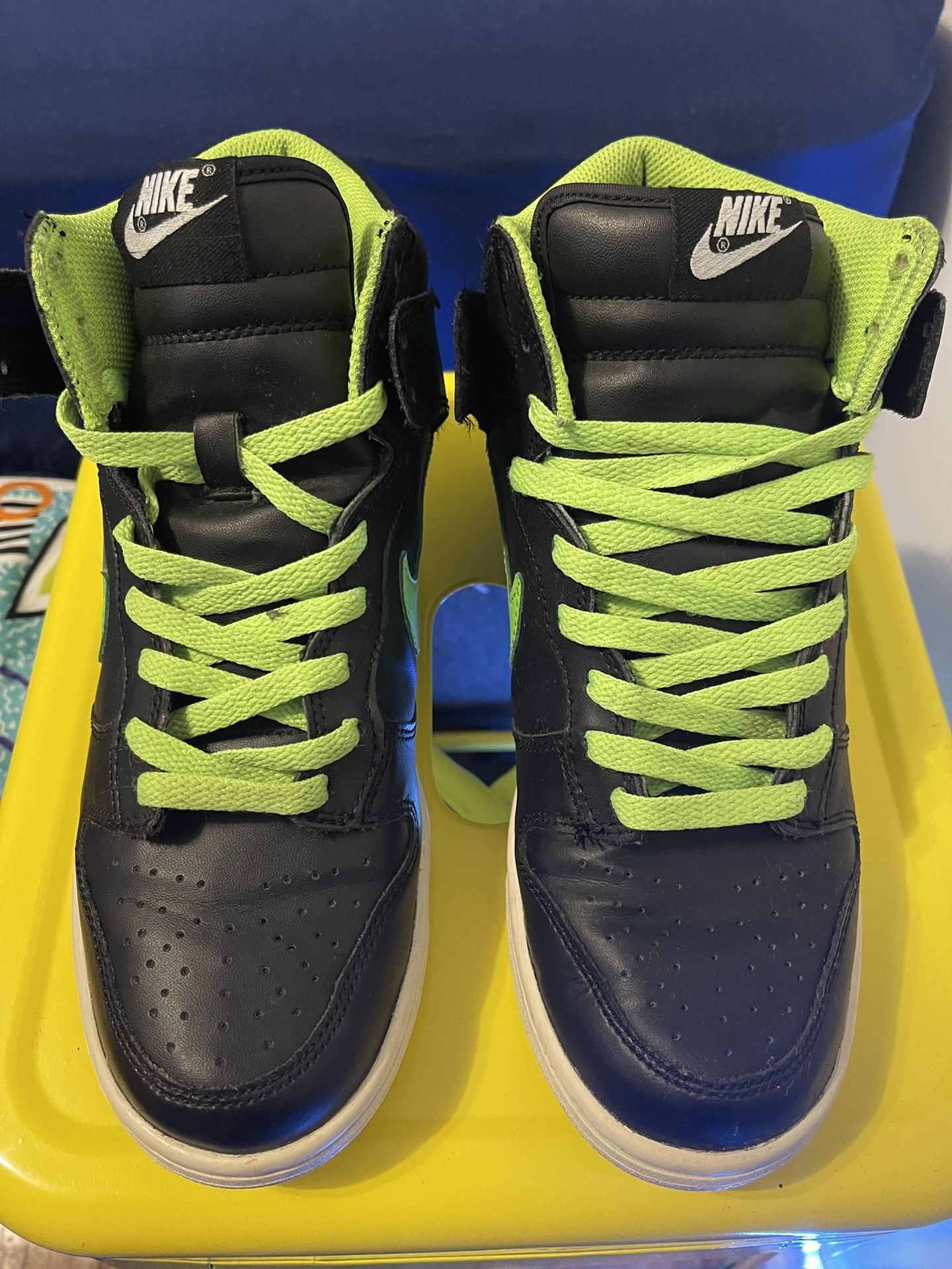 Nike Dunk High Vintage 2010