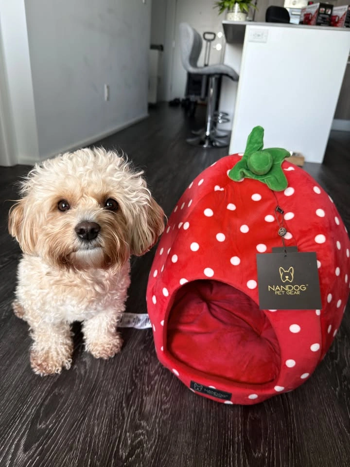 🍓Strawberry Pet Bed for Cats & Small Dogs – Plush Microfiber Coz - photo 3