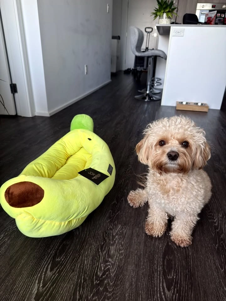 Banana Pet Bed for Cats & Small Dogs - photo 3