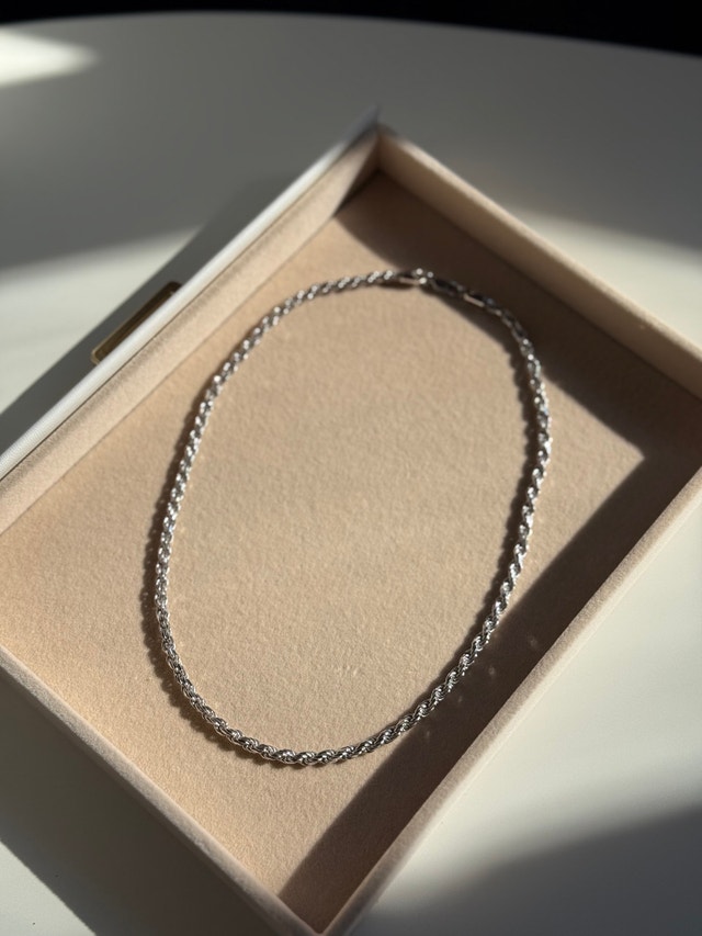 Twisted Stainless Steel Necklace