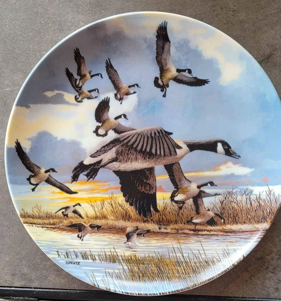 Bradford Exchange Collector Plates - Wings Upon The Wind - photo 5