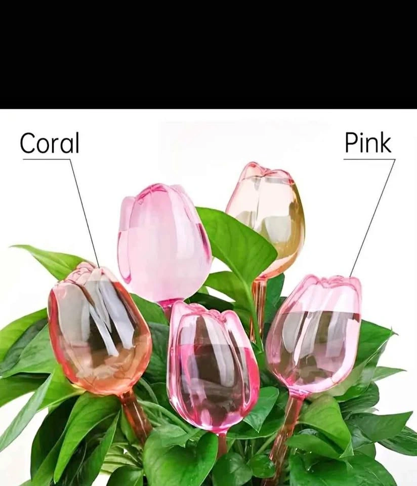 Tulip Plant Watering Globes - $3 each