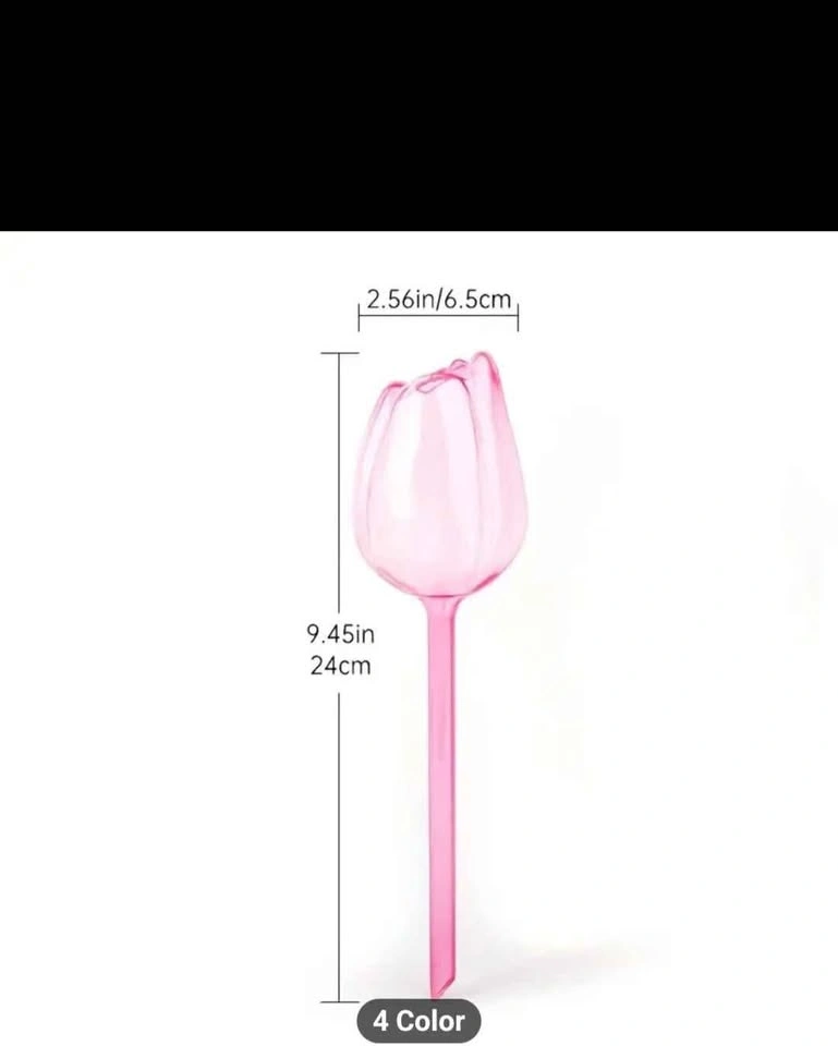 Tulip Plant Watering Globes - $3 each - photo 3