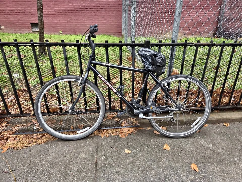 Raleigh M-20 Hybrid