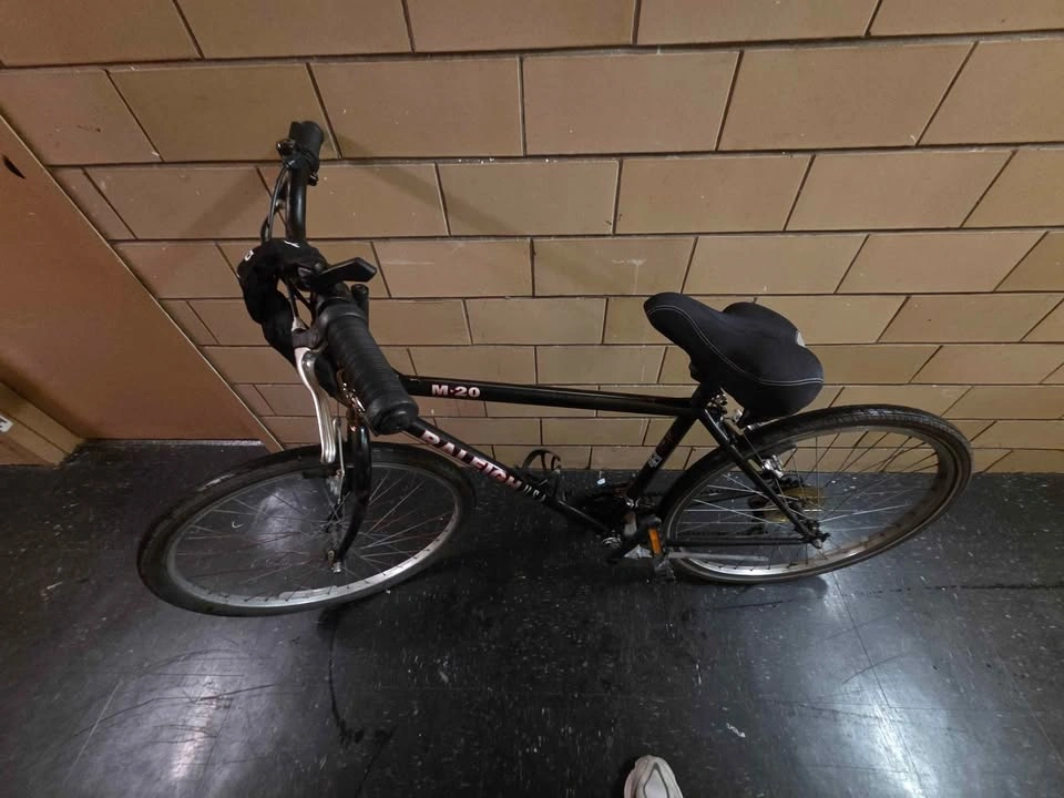 Raleigh M-20 Hybrid - photo 2
