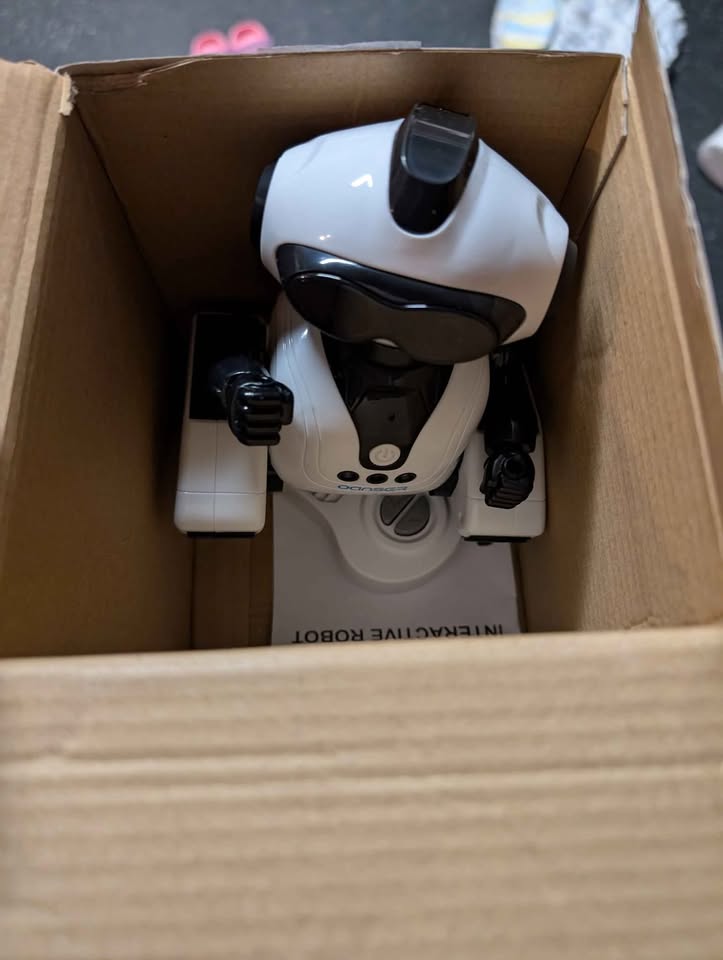 Interactive Robot RC - photo 2