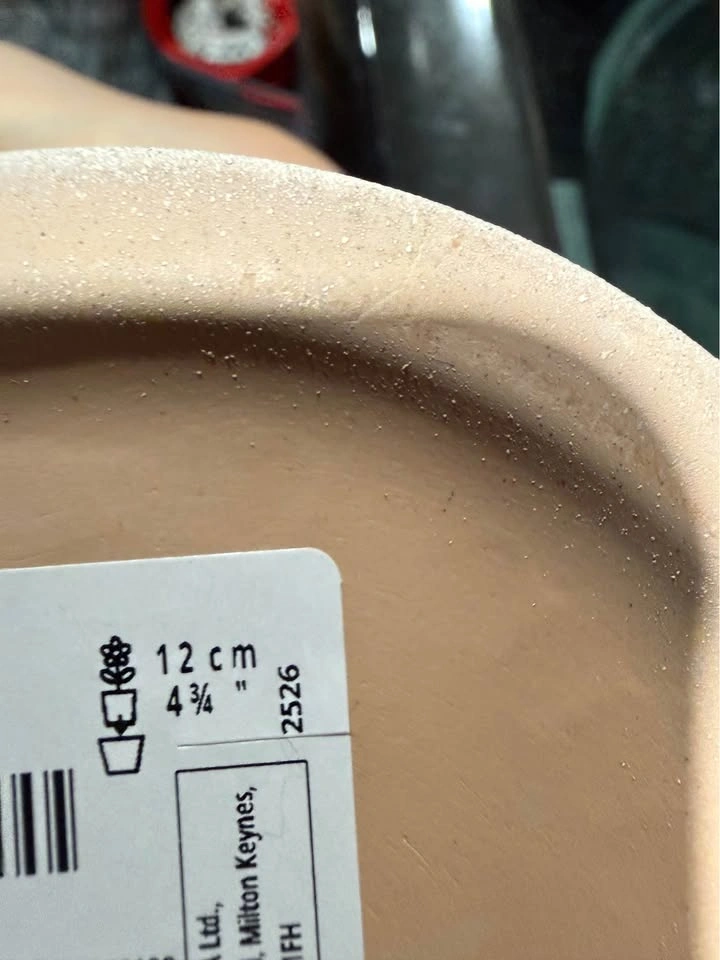 Plant pot light beige - photo 3