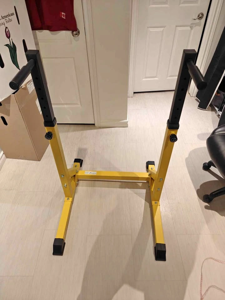 Adjustable Dip Station