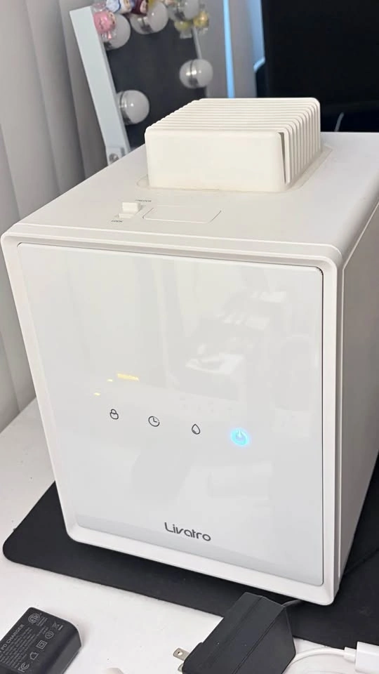 Stainless Steel Humidifier, 3L Warm Mist