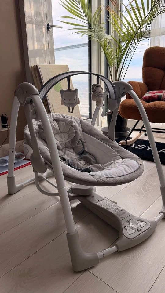 Ingenuity Baby Swing - photo 2