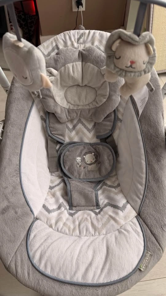 Ingenuity Baby Swing - photo 3