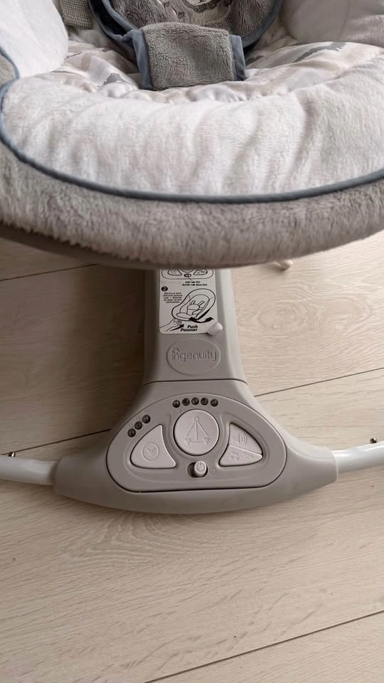 Ingenuity Baby Swing - photo 4