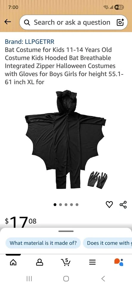 Bat Costume for Kids medium