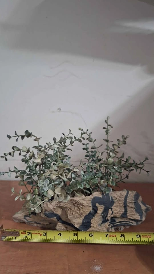 Aquarium Decor - photo 4