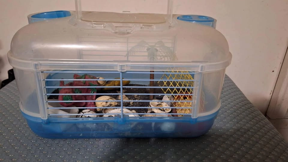 Small Pet Habitat