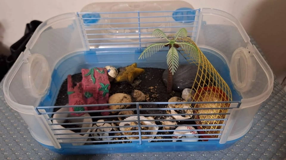 Small Pet Habitat - photo 2