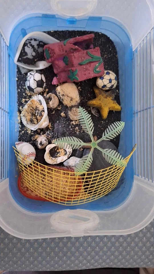 Small Pet Habitat - photo 3