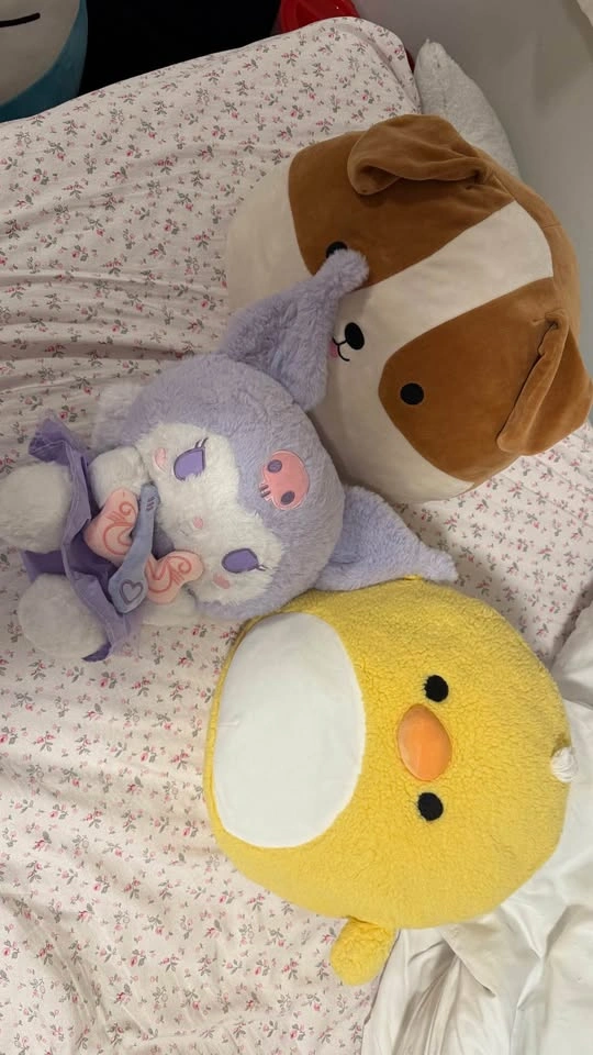 Hello Kitty Sanrio Squishmallow Plushies - photo 3