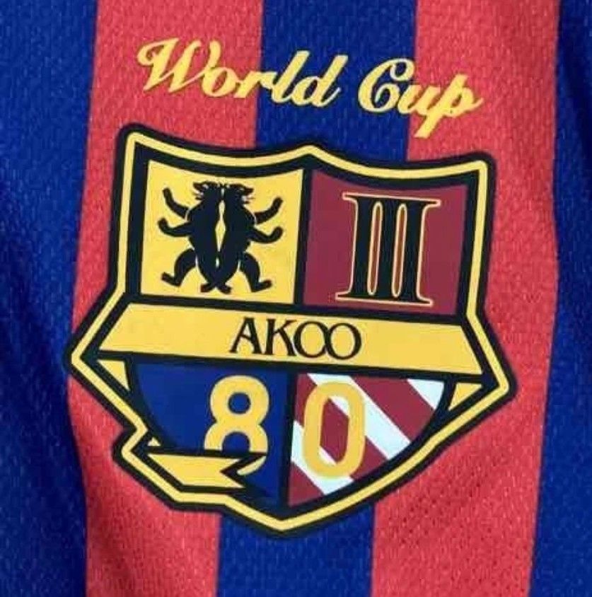 FC Barcelona Summer Jersey - photo 4