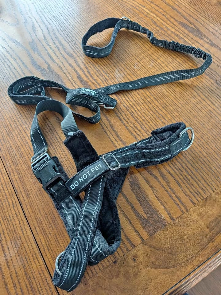 Medium Dog Harness with Padding and Leash