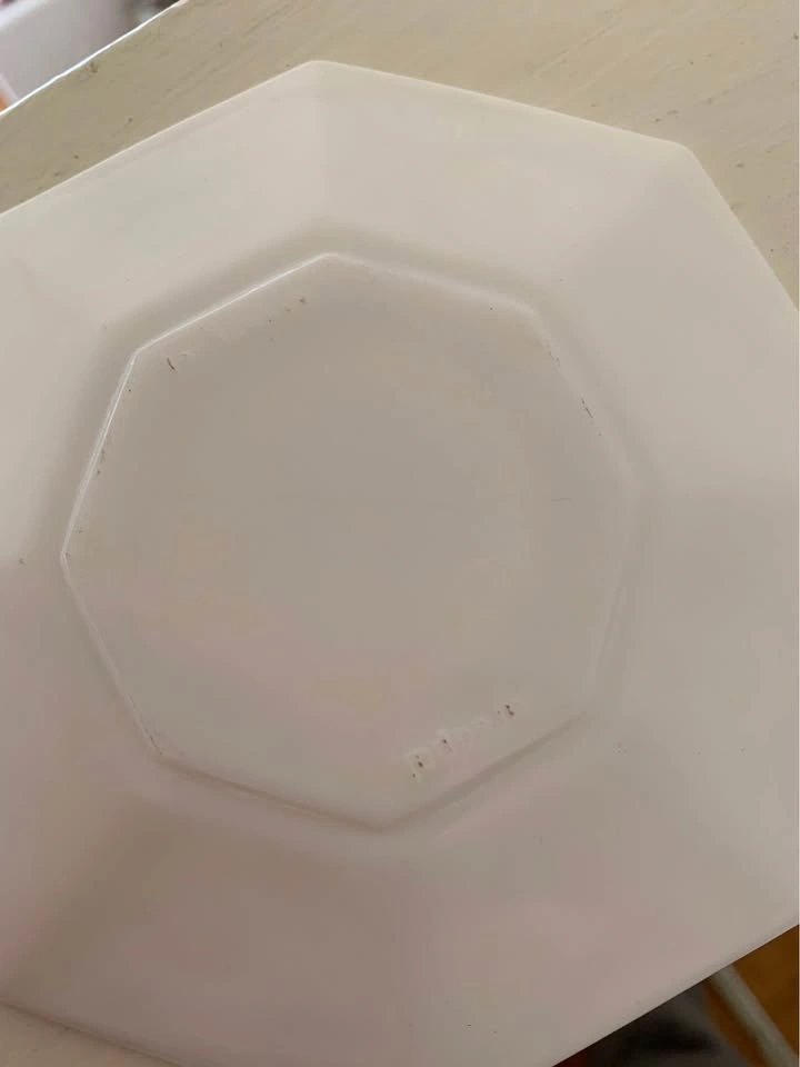 Arcopal France Plates (12) - photo 3