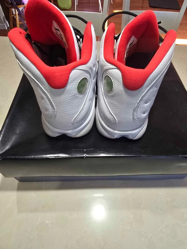 Jordan 12 History of Flight - photo 5