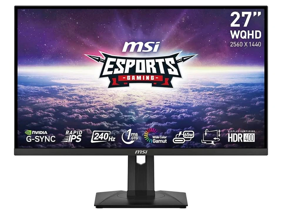 MSI Gaming Monitor 240Hz