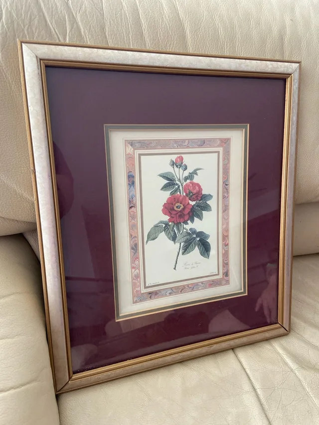 Framed Rose Print thumbnail