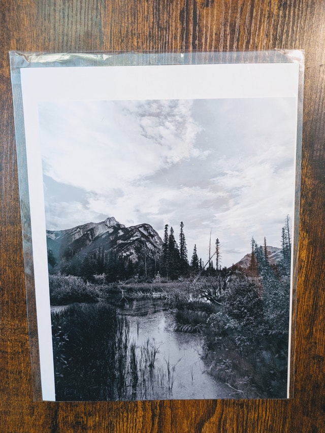 8" x 10" Premium Photo Prints 🌱