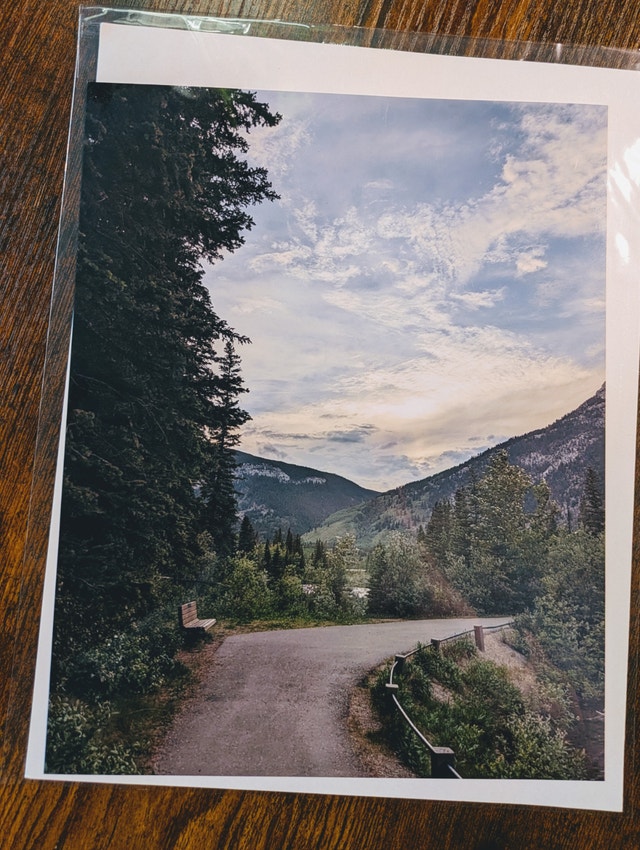 8" x 10" Premium Photo Prints 🌱 - photo 3