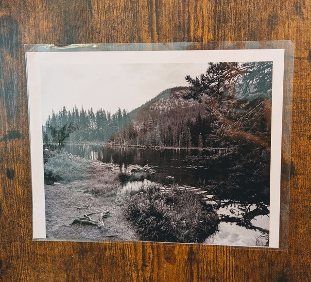 8" x 10" Premium Photo Prints 🌱 - photo 5