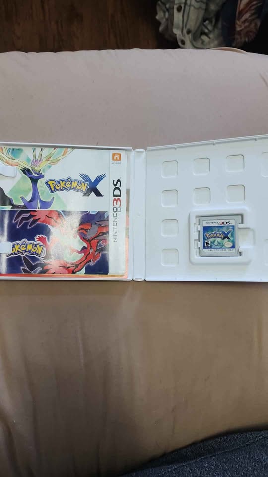 Pokemon X - photo 3