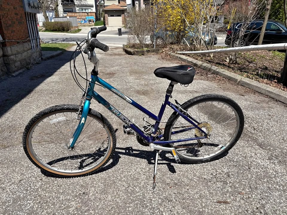 Trek 21 Speed Cruiser Bike