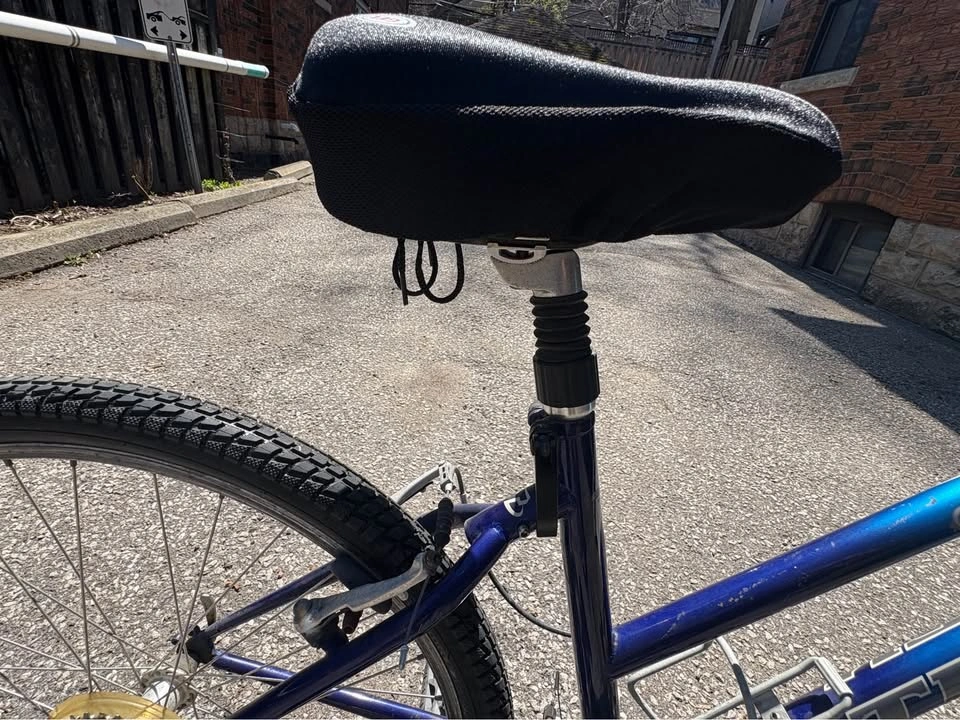 Trek 21 Speed Cruiser Bike - photo 5