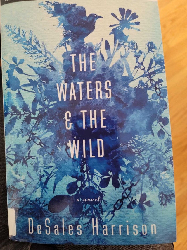 The waters and the Wild