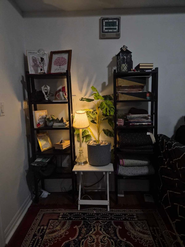 Ikea Vilto Shelves (Black)